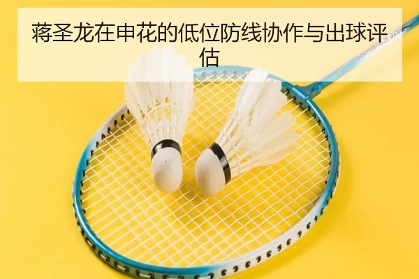 蒋圣龙在申花的低位防线协作与出球评估